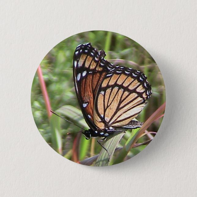 Bóton Redondo 5.08cm Botão Monarch Butterfly (Frente)