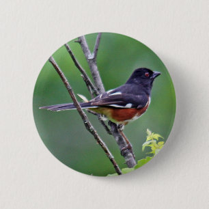 Bóton Redondo 5.08cm Botão oriental do Towhee
