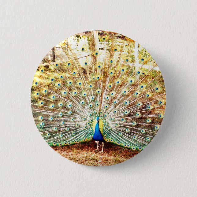 Bóton Redondo 5.08cm Botão Peacock (Frente)