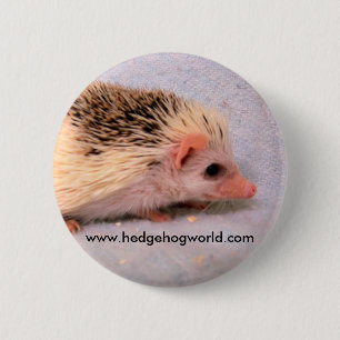 Bóton Redondo 5.08cm Botão pequeno do pinto