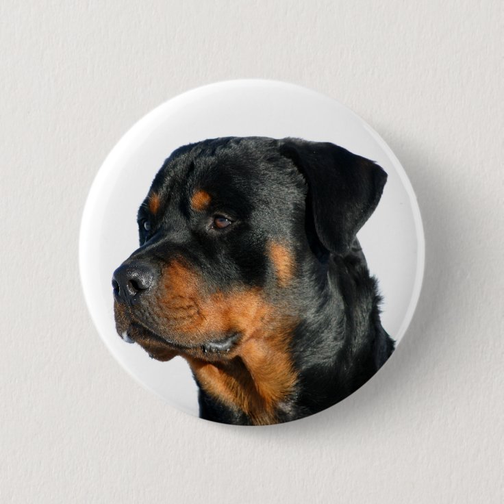 Bóton Redondo Botão Pin de Cachorro Preto e Marrom do Rottweiler | Bóton Redondo Botão Pin de Cachorro Preto e Marrom do Rottweiler |