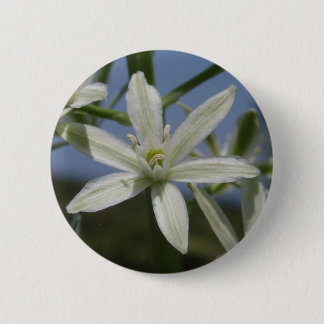 Bóton Redondo 5.08cm Botão primavera Branco da Flor