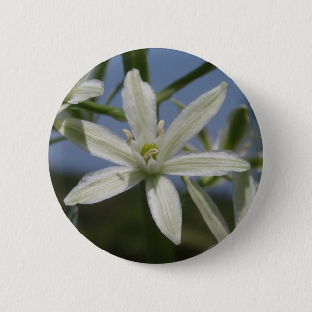 Bóton Redondo 5.08cm Botão primavera Branco da Flor (Frente)
