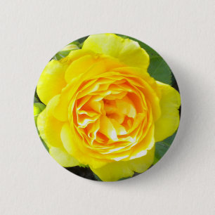 Bóton Redondo 5.08cm Botão Rosa Amarelo