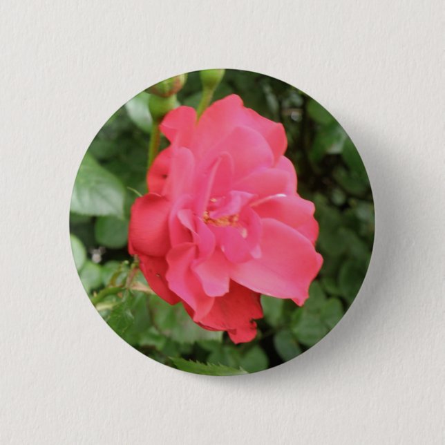 Bóton Redondo 5.08cm Botão Rosa Selvagem (Frente)