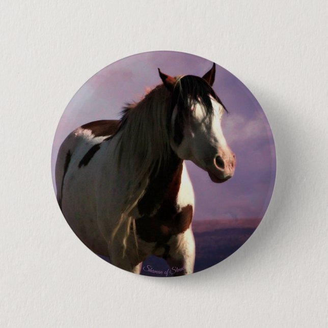 Bóton Redondo 5.08cm Botão "Shaman of Steens"  (Frente)