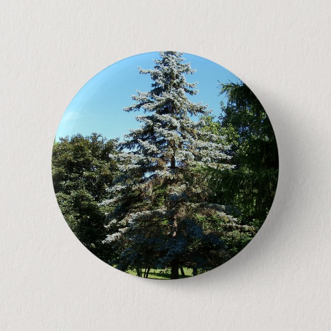 Bóton Redondo 5.08cm Botão Spruce azul (Frente)