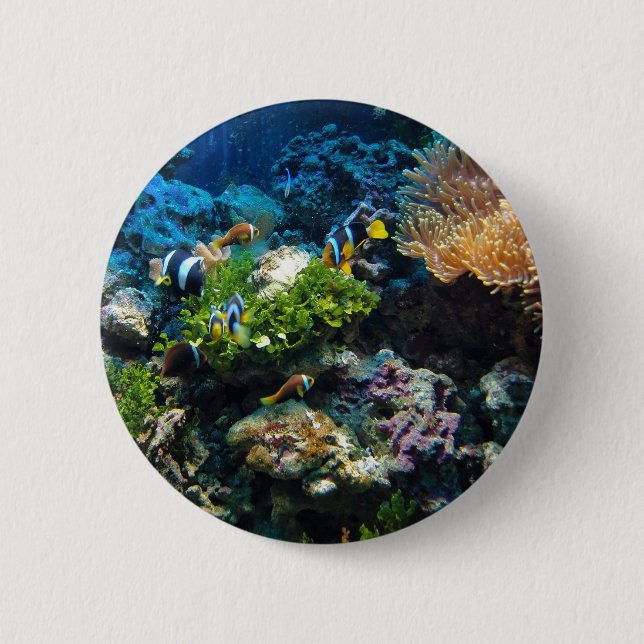 Bóton Redondo 5.08cm Botões Coral Reef (Frente)