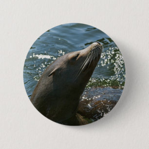 Bóton Redondo 5.08cm Botões de Leão-Marinho