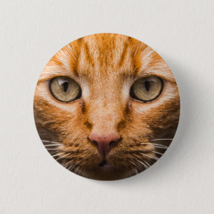Bóton Redondo 5.08cm Botões do gato olhar fixamente