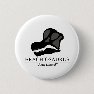 Bóton Redondo 5.08cm Brachiosaurus Skull