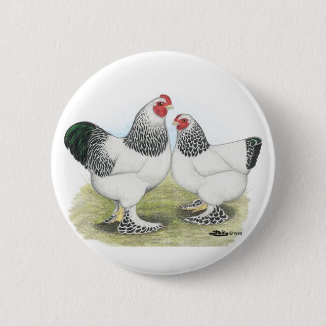 Bóton Redondo 5.08cm Brahma:  Light2 (Frente)