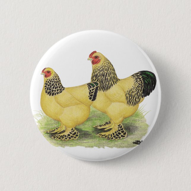 Bóton Redondo 5.08cm Brahmas:  Galinhas anãs amarelas (Frente)