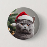 British Shorthair Christmas