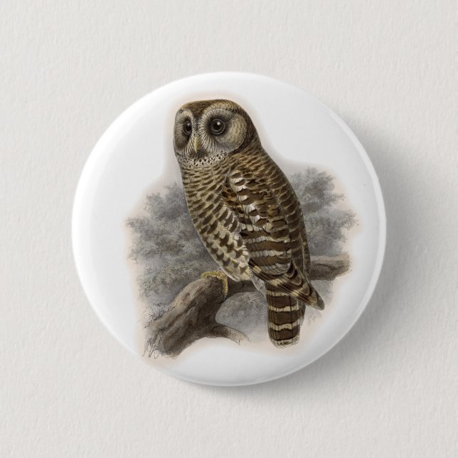 Bóton Redondo 5.08cm Brown Owl (Frente)