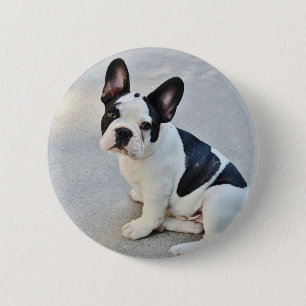 Bóton Redondo 5.08cm buldogue francês sentado