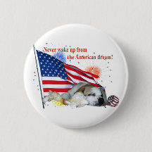 Buldogue inglês - sonho americano