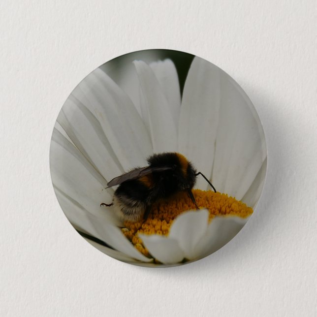 Bóton Redondo 5.08cm Bumblebee no Crachá da Flor (Frente)