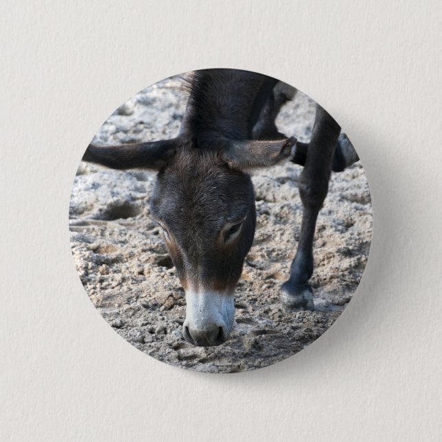 Bóton Redondo 5.08cm Burro (Frente)