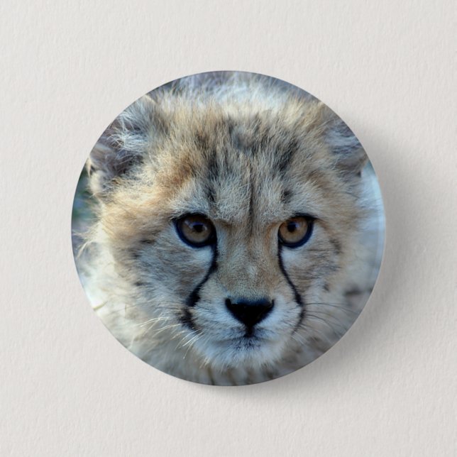 Bóton Redondo 5.08cm Button-cheetah-cub10x10 (Frente)