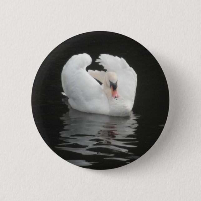 Bóton Redondo 5.08cm Button Swan Natation (Frente)