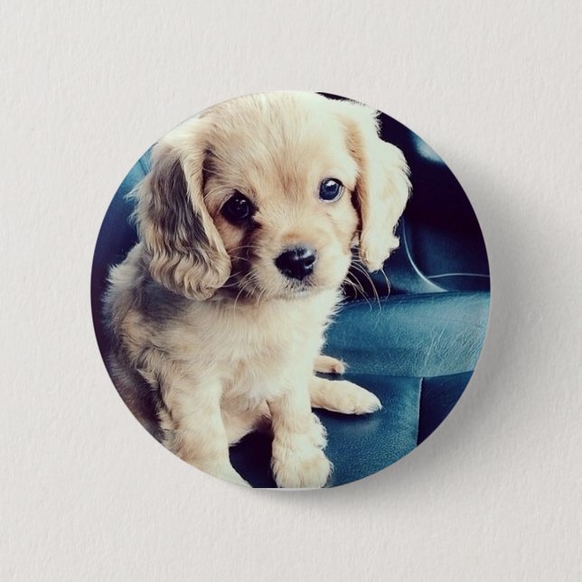 Bóton Redondo 5.08cm Buttonz acima! (Frente)