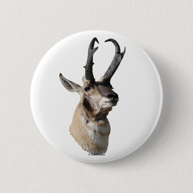 Bóton Redondo 5.08cm Cabeça de Antilope A18 (Frente)