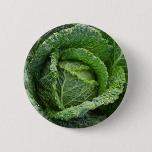Bóton Redondo 5.08cm Cabeça de Couve Orgânica Fresca