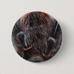 Bóton Redondo 5.08cm cabelo da aranha