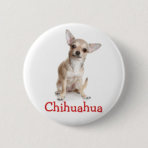 Bóton Redondo 5.08cm Cachorro Chihuahua Marrom e Branco