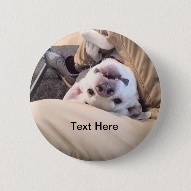 Bóton Redondo 5.08cm Cachorro Engraçado Não Será Ignorado Foto Cômica (Frente)