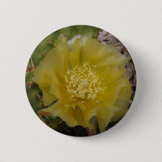 Bóton Redondo 5.08cm Cacto Amarelo em Flor