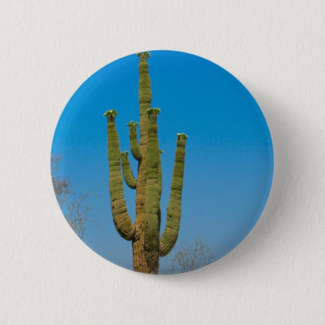 Bóton Redondo 5.08cm Cacto do Saguaro (Frente)