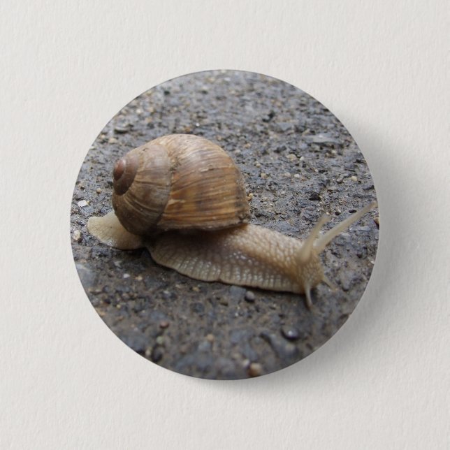 Bóton Redondo 5.08cm caminhada de caracol (Frente)