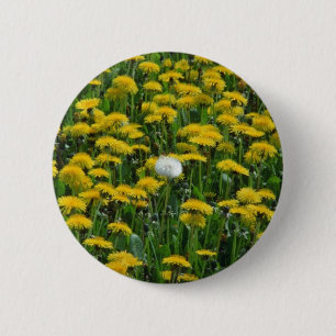 Bóton Redondo 5.08cm Campo amarelo dos dentes-de-leão no fluxo holand