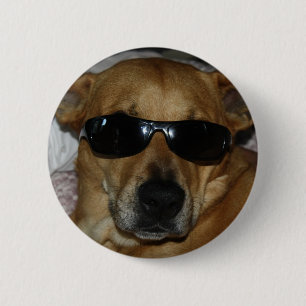 Bóton Redondo 5.08cm Cão com óculos de sol