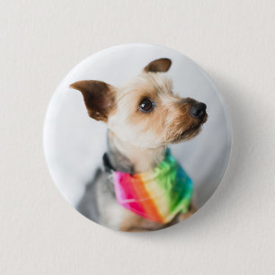 Bóton Redondo 5.08cm Cão Orgulho gay Yorkshire Terrier