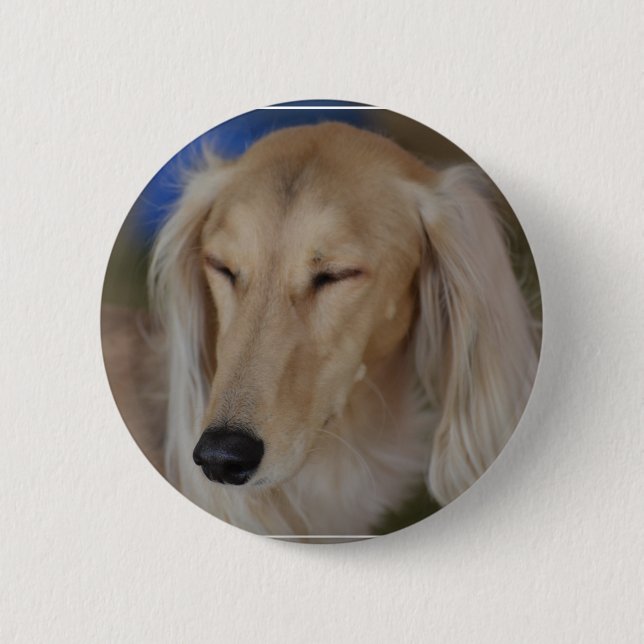 Bóton Redondo 5.08cm Cão sonolento de Saluki (Frente)