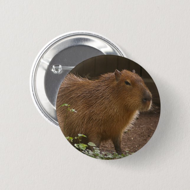 Bóton Redondo 5.08cm Capybara (Frente & Verso)
