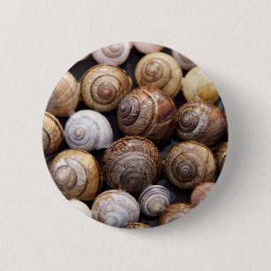 Bóton Redondo 5.08cm Caracóis