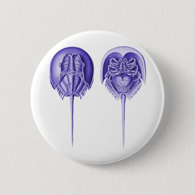 Bóton Redondo 5.08cm Caranguejo em ferradura (Frente)