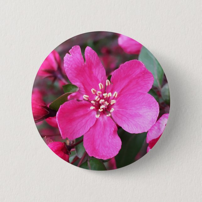 Bóton Redondo 5.08cm Caranguejo-Flor Rosa (Frente)