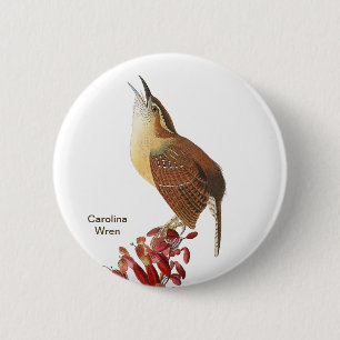 Bóton Redondo 5.08cm Carolina Wren, Audubon, Birdwatcher Bird