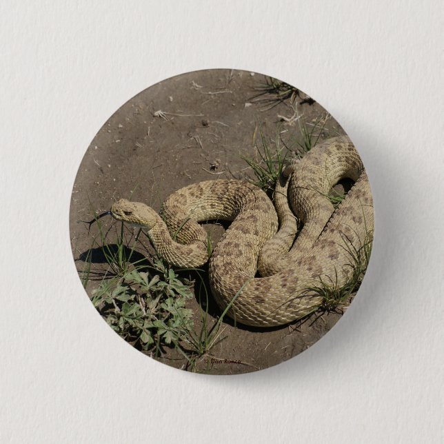 Bóton Redondo 5.08cm Cascavel de pradaria R6 (Frente)