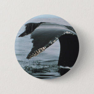 Bóton Redondo 5.08cm Cauda da baleia de Humpback