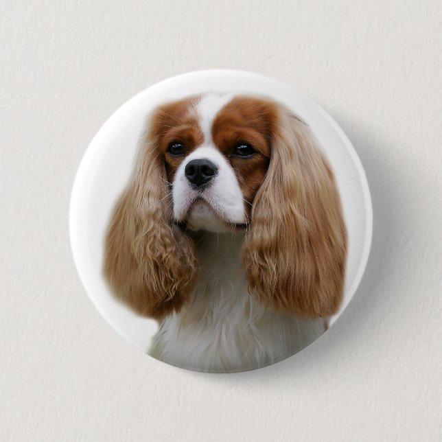 Bóton Redondo 5.08cm Cavalier King Charles Spaniel (Frente)