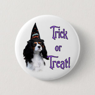 Bóton Redondo 5.08cm Cavalier King Charles Spaniel Trick