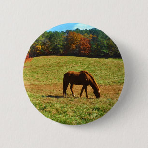 Bóton Redondo 5.08cm Cavalo Castanho Vermelho nas árvores do outono