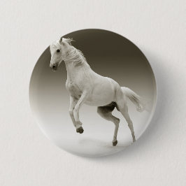 Bóton Redondo 5.08cm cavalo de criação