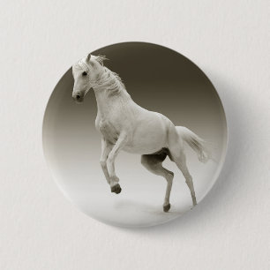 Bóton Redondo 5.08cm cavalo de criação